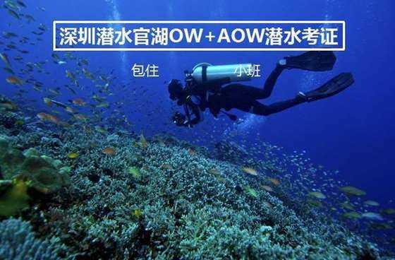 是除恶务尽,还是恩将仇报?谈谈孙悟空是如何对待百花羞这两个儿女的
